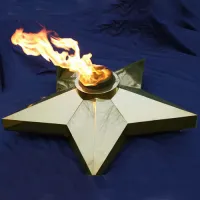 Звезда (газовая горелка) (1636) производство комплект горелка ГВД 379 10 89 00 ПС - ø 1000 мм. ветроустойчивая  в Перми