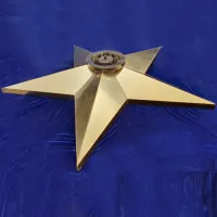 Звезда вечный огонь (1628) поставка комплект горелка ГВД 379 10 89 00 ПС ø 1100 мм. пустотелая  в Перми